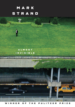 Almost Invisible by Mark Strand