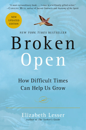 Broken Open by Elizabeth Lesser