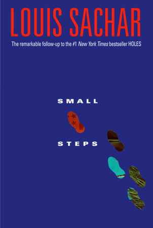 Small Steps (Paperback - 2008)