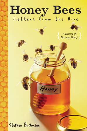 Honey Bees by Stephen Buchmann