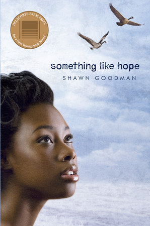 Something Like Hope by Shawn Goodman