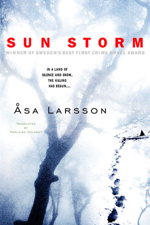 太阳风暴书籍封面图片