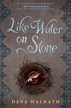 Like Water on Stone by Dana Walrath
