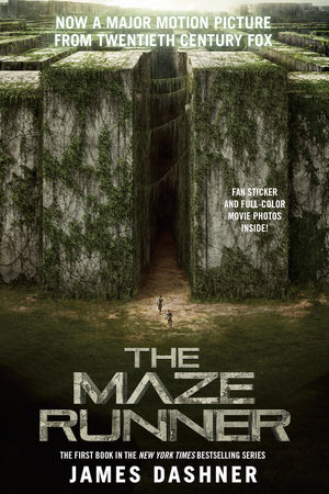 Image result for maze runner book info