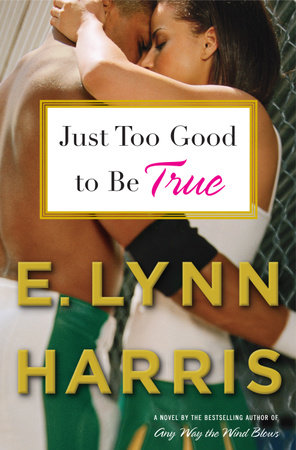Just Too Good to Be True by E. Lynn Harris