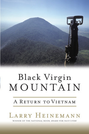 Black Virgin Mountain by Larry Heinemann