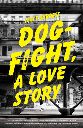 Dogfight, A Love Story by Matt Burgess