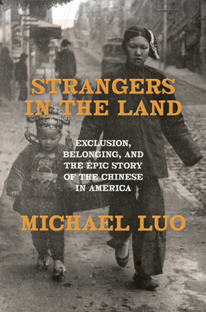 Strangers in the Land by Michael Luo