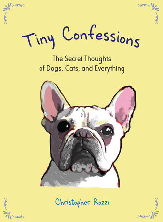Tiny Confessions by Christopher Rozzi