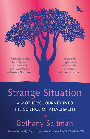 Strange Situation by Bethany Saltman