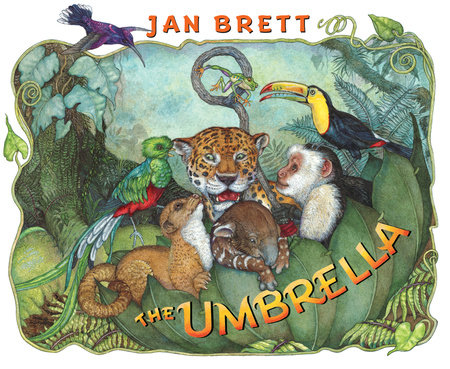 The Umbrella by Jan Brett