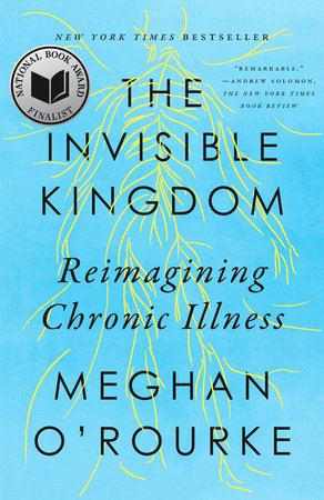 The Invisible Kingdom by Meghan O'Rourke