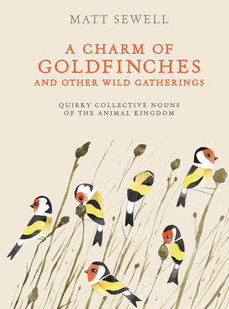 A Charm of Goldfinches and Other Wild Gatherings by Matt Sewell