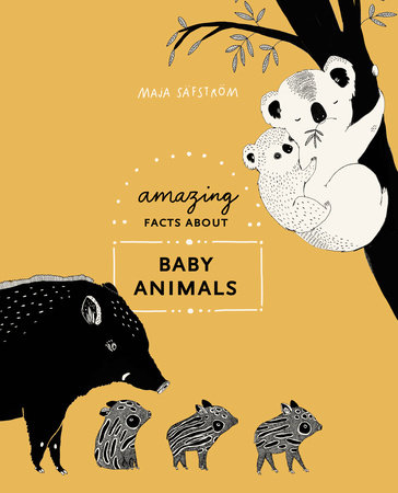 Amazing Facts About Baby Animals by Maja Säfström