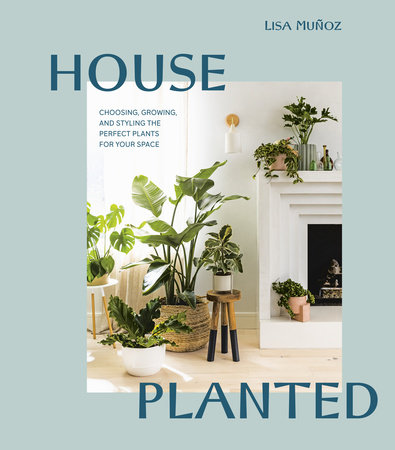 House Planted by Lisa Muñoz