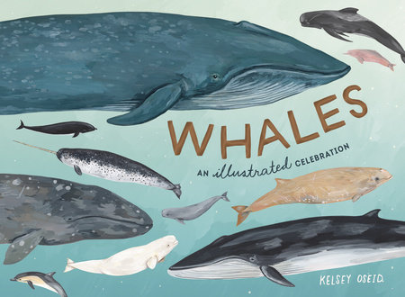 Whales by Kelsey Oseid
