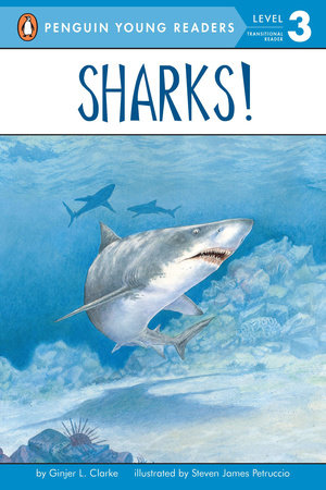 Sharks! by Ginjer L. Clarke