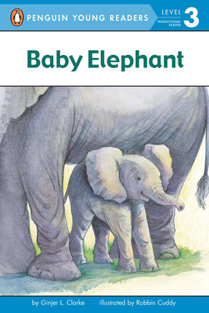Baby Elephant by Ginjer L. Clarke