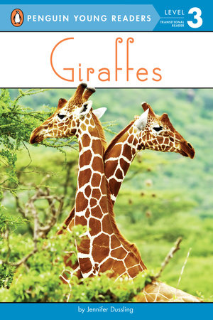 Giraffes by Jennifer Dussling