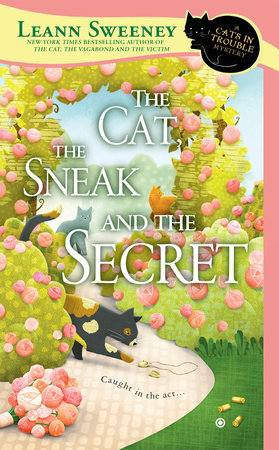 The Cat, the Sneak and the Secret by Leann Sweeney