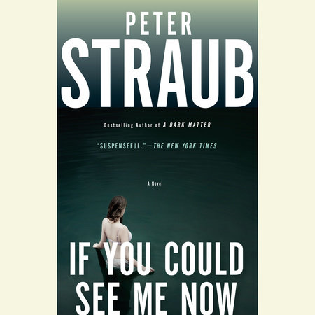 If You Could See Me Now by Peter Straub