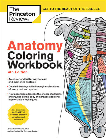 Anatomy Coloring Workbook, 4th Edition by The Princeton Review and Edward Alcamo