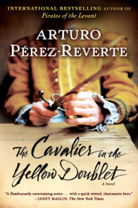 The Cavalier in the Yellow Doublet