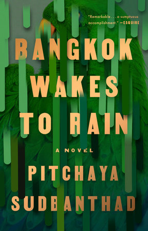 Bangkok Wakes to Rain by Pitchaya Sudbanthad