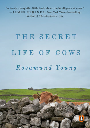 The Secret Life of Cows by Rosamund Young