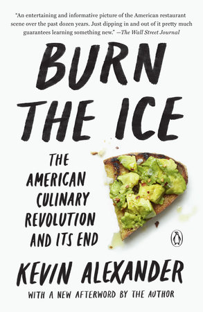 Burn the Ice by Kevin Alexander