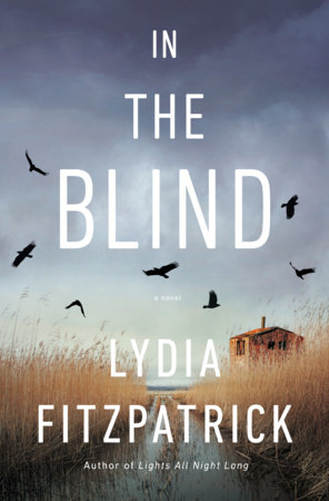 In the Blind by Lydia Fitzpatrick