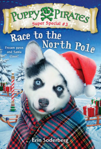 Puppy Pirates Super Special #3: Race to the North Pole