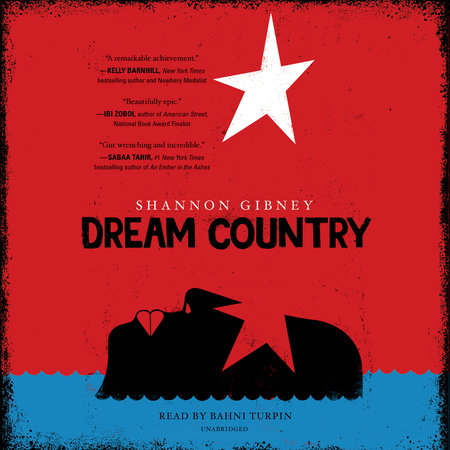 Dream Country by Shannon Gibney