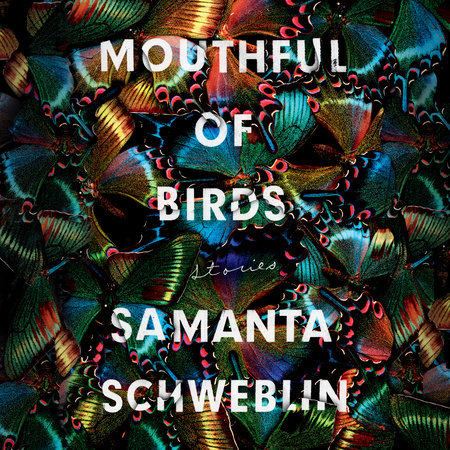 Mouthful of Birds by Samanta Schweblin