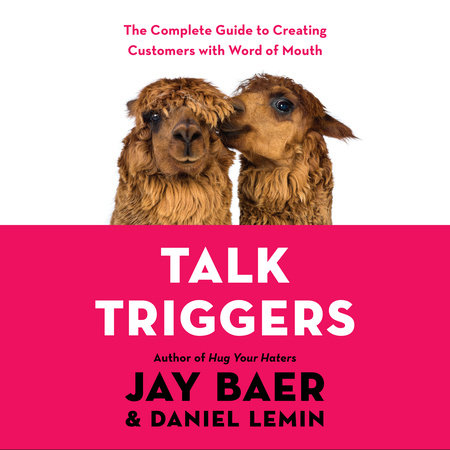 Talk Triggers by Jay Baer and Daniel Lemin