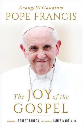 The Joy of the Gospel (Specially Priced Hardcover Edition) by Pope Francis