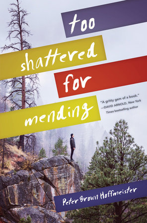 Too Shattered for Mending by Peter Brown Hoffmeister