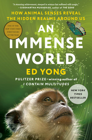 An Immense World Book Cover Picture