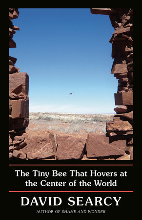 The Tiny Bee That Hovers at the Center of the World by David Searcy