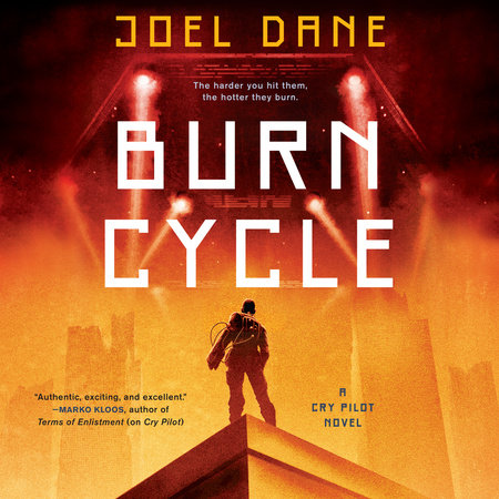 Burn Cycle by Joel Dane