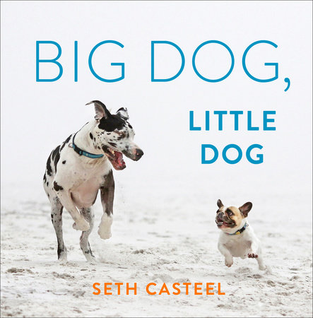 Big Dog, Little Dog by Seth Casteel