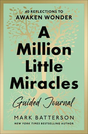 A Million Little Miracles Guided Journal by Mark Batterson