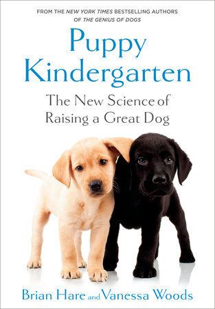 Puppy Kindergarten by Brian Hare and Vanessa Woods