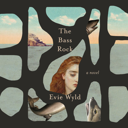 The Bass Rock by Evie Wyld