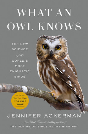 What an Owl Knows Book Cover Picture