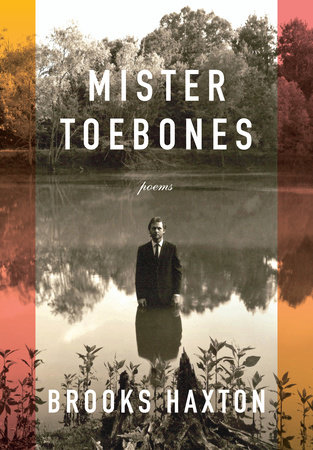 Mister Toebones by Brooks Haxton