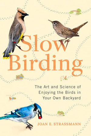 Slow Birding by Joan E. Strassmann