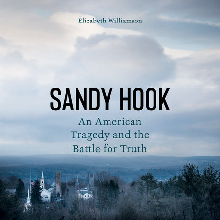 Sandy Hook by Elizabeth Williamson