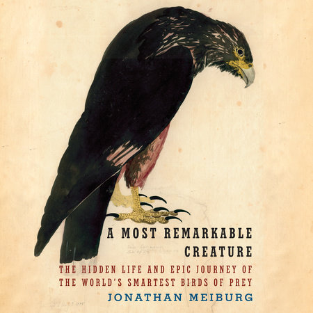 A Most Remarkable Creature by Jonathan Meiburg: 9781101911549 ...