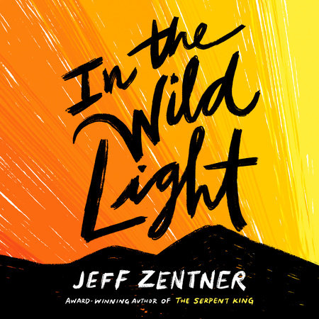 In the Wild Light by Jeff Zentner